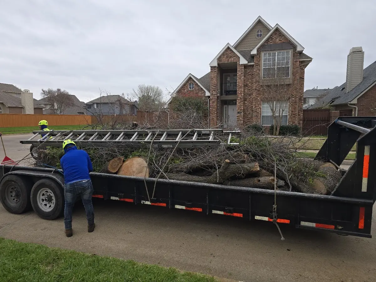 Expert Tree Fertilization with proper safety equipment in Rockaway Beach